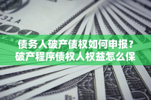 济南债务人破产债权如何申报？破产程序债权人权益怎么保障？