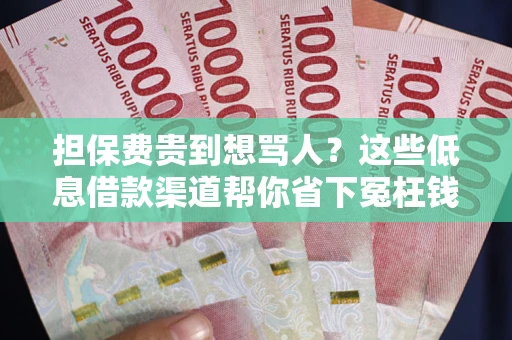 济南担保费贵到想骂人？这些低息借款渠道帮你省下冤枉钱